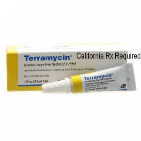 how do i apply terramycin ophthalmic ointment to my dog