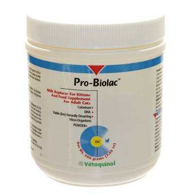 pro biolac kitten formula