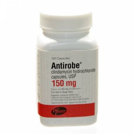 Antirobe (clindamycin hydrochloride) Oral Antibiotic for Dogs and Cats.