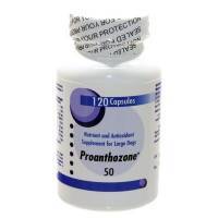 Proanthozone 50, Large Dog, 120 Count Bottle; ?>
