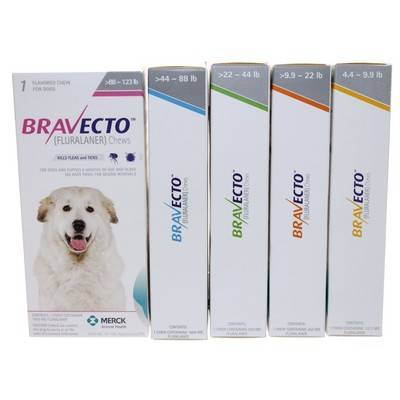 bravecto flea meds