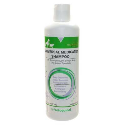 medicated shampoo