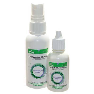 is clotrimazole cream safe for dogs