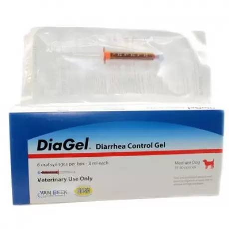 DiaGel Diarrhea Control Gel Syringe for Medium Dogs