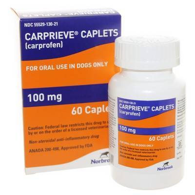 Carprieve store for dogs