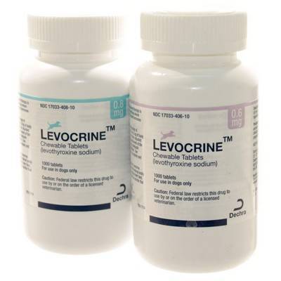 levothyroxine for dogs levothyroxine for dogs