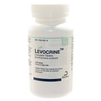 Levothyroxine Free Shipping