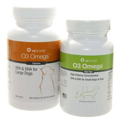 essential fatty acids for cats