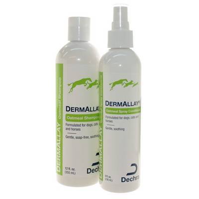 dermallay dog shampoo