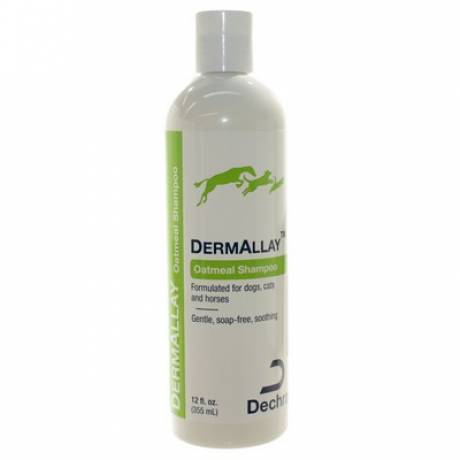DermAllay 12oz Oatmeal Shampoo for Dogs and Cats
