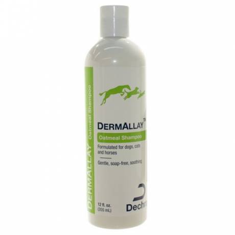 DermAllay for Dogs and Cats - Oatmeal Shampoo Spray | VetRxDirect Pharmacy