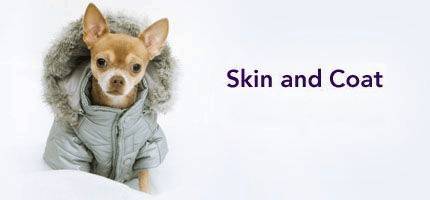 Dog Skin and Coat
