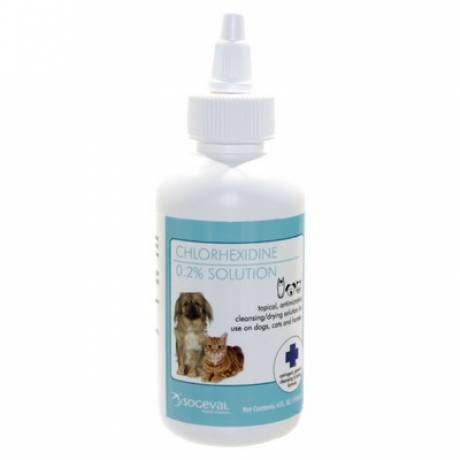 chlorhexidine solution for dogs