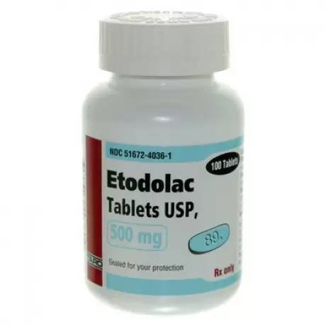 Etodolac nonsteroidal anti-inflammatory drug (NSAID) for dogs | 200mg ...