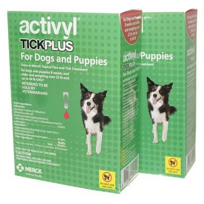 Cats Activyl Tick Activyl Spot On Activyl Flea And Tick For Dogs 2025