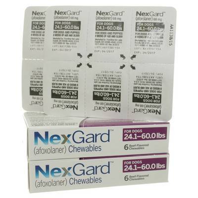 nexgard 12 month supply