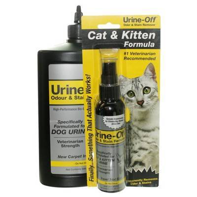 cat urine stain remover