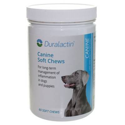 duralactin soft chews