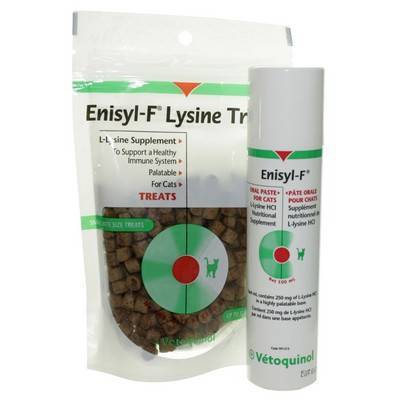 lysine for cats
