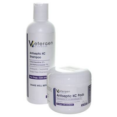 ketoconazole and chlorhexidine shampoo