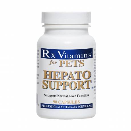 Hepato Support for Dogs and Cats - 90 Capsules RxVitamins