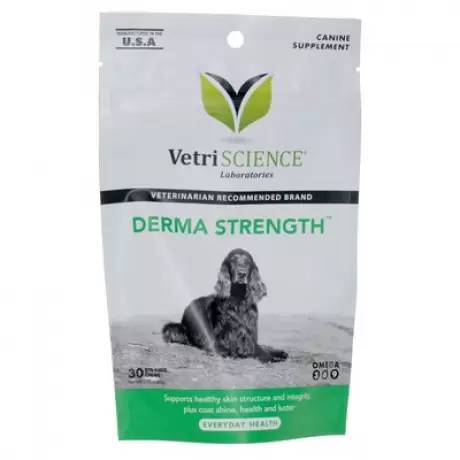 Derma-Strength Skin Support Formula for Dogs