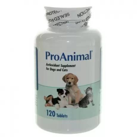 ProAnimal Antioxidant Supplement for Dogs and Cats