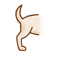 Anal Gland Supplements for Dogs