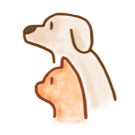 Thyroid Medications for Dogs and Cats